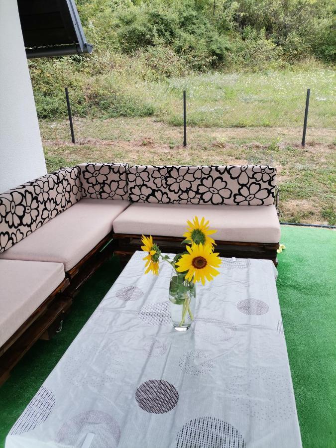 Villa LanaBihać エクステリア 写真