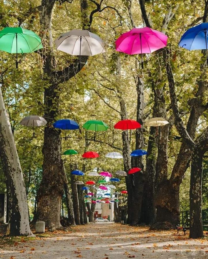 Villa LanaBihać エクステリア 写真